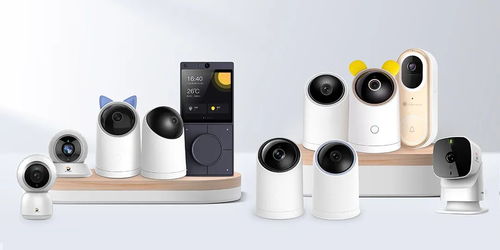 捷报频传 海雀科技斩获 2021杰出技术先锋奖